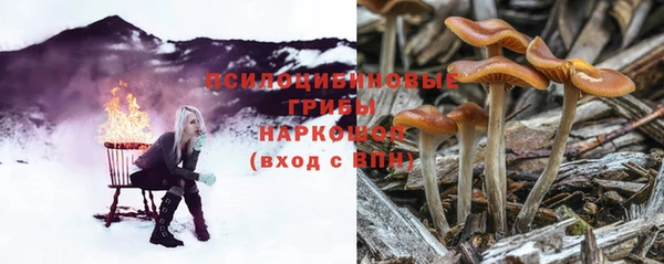 Альфа ПВП Арсеньев