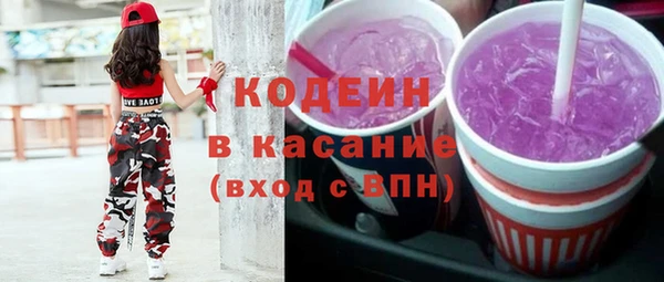 индика Балабаново
