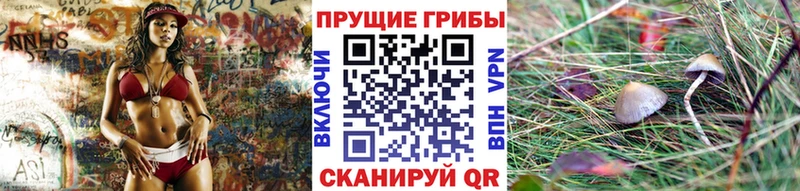 МЕГА как войти  Лысково  Псилоцибиновые грибы Cubensis 